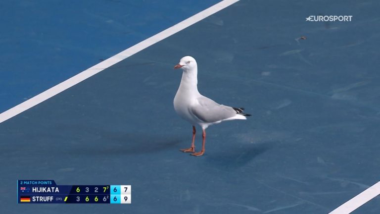 Australian Open: Seagull Interrupts Match Point in Final Set Tie-Break as Jan-Lennard Struff Defeats Rinky Hijikata