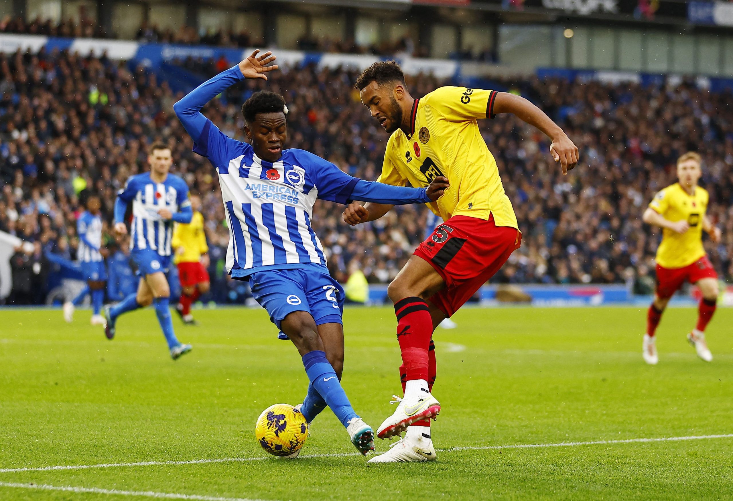 Sheffield United vs Brighton